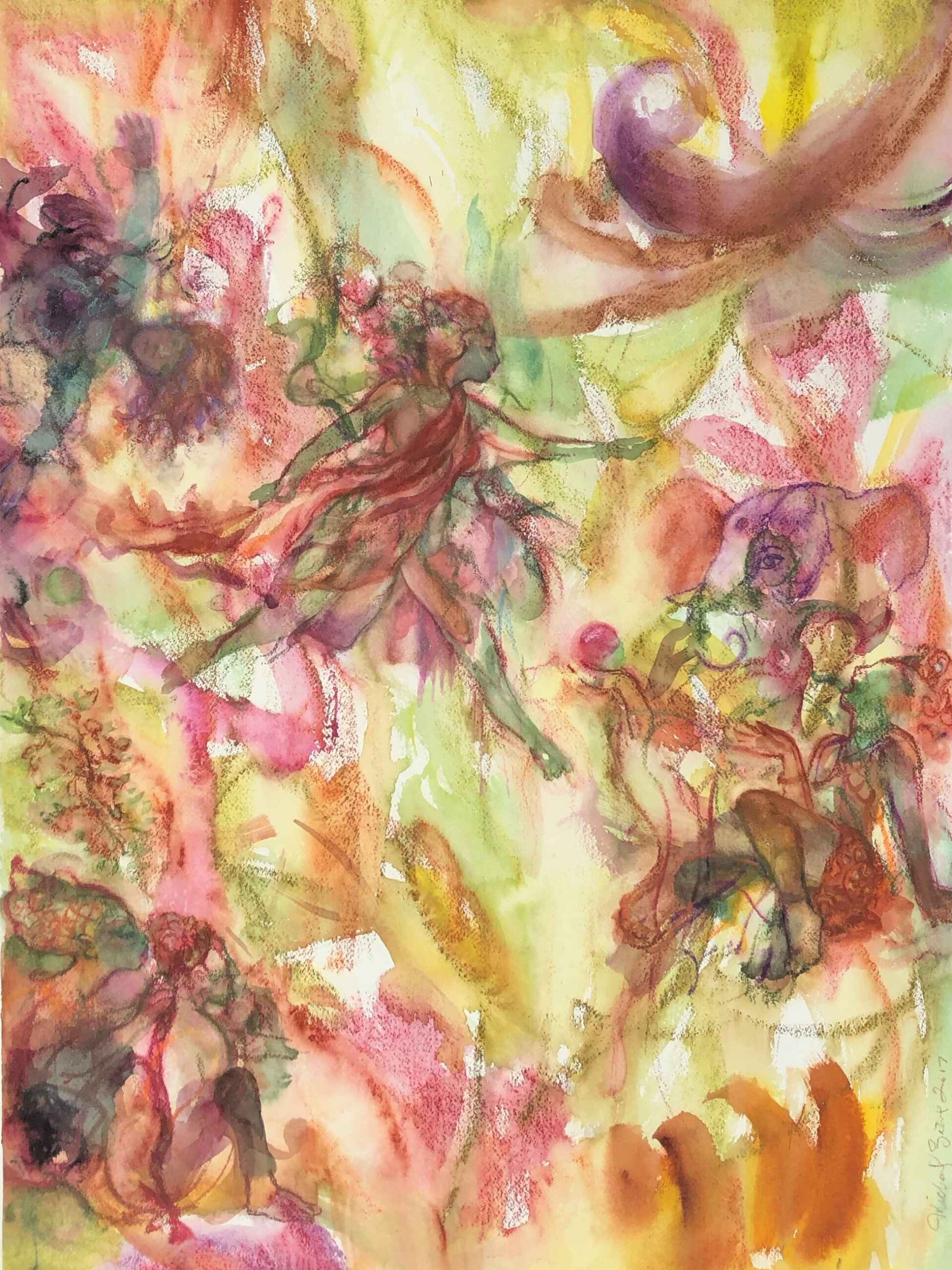 Coastal Visions Collection