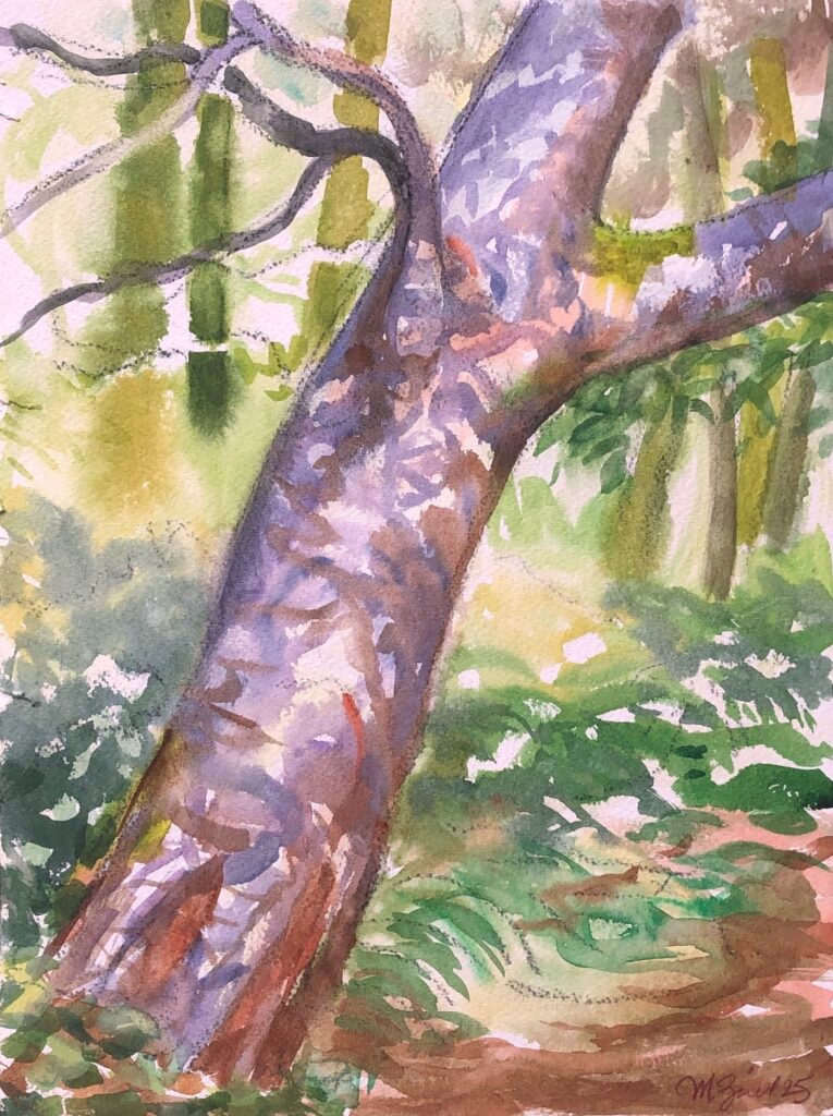 Tree Study 4